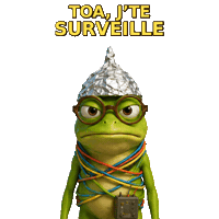 zikfunzik grenouille sceptique zinzin surveille Sticker