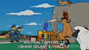 Lisa Simpson GIF by The Simpsons
