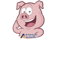 americannutrients thankyou pig gracias american Sticker