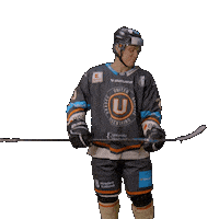 Uhk Kochan Sticker by UNIted HK