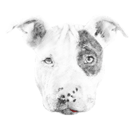 brittanychardpetillustrations tongueout brittanychard Sticker