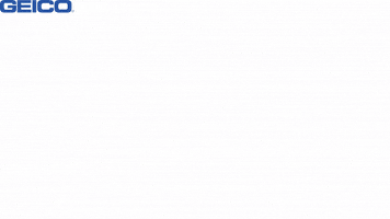 Money Somebodys Watching Me GIF by GEICO