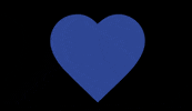 GIF by Turinter