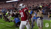 Arizona Cardinals Football GIF by NFL