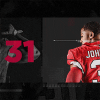 David Johnson Football GIF by Arizona Cardinals