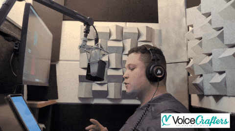 Voice Over Mic GIF by Voice Crafters
