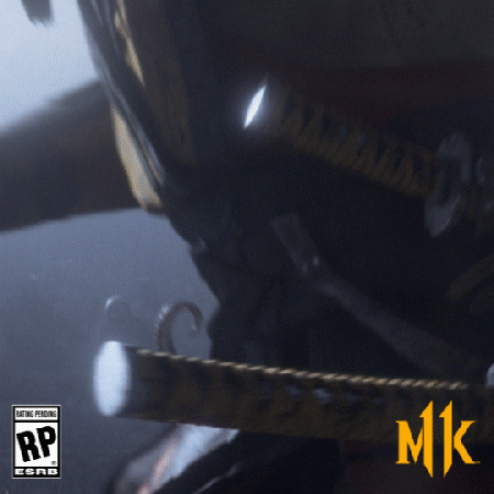 mortal kombat fatality GIF