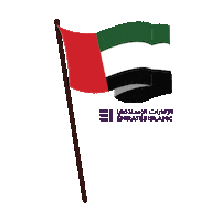 Flag Day Uae Sticker by Emirates Islamic