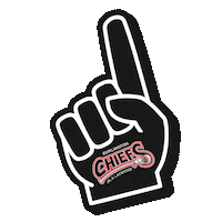 Burlington Chiefs Sticker by Ontario Junior Lacrosse League