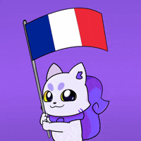France Flag GIF by Lucky Kat Studios