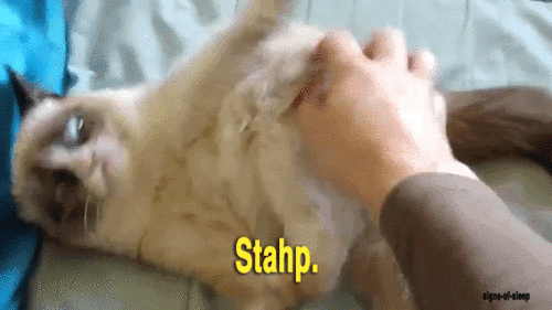 Meme gif. Grumpy Cat is being scratched on her hip by a human. She looks anxious and uncomfortable, reaching her forepaw down towards the hand. Text, "Stahp."