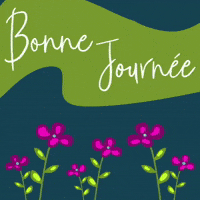 Good Day Bonjour GIF
