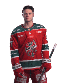 Hockeyallsvenskan Sticker by MoDo Hockey