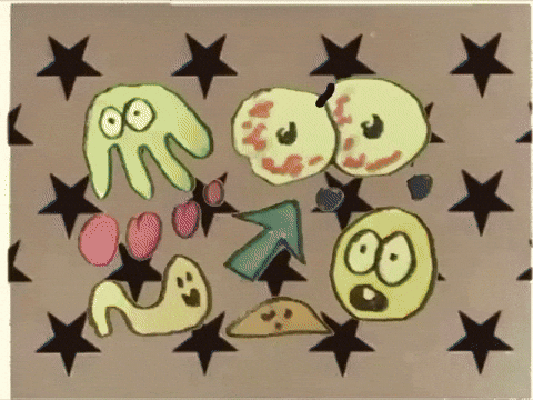 Animation GIF by Preston Spurlock