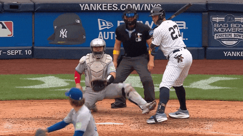Blue Jays Baseball GIF by Toronto Blue Jays