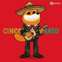 Cinco De Mayo Sombrero GIF by BONK