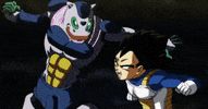 dragon ball super GIF by Funimation