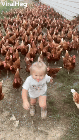 go forth my minions!