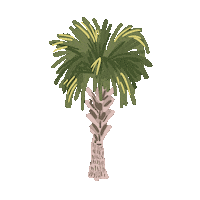 RachelBrei tree palm south carolina charleston Sticker