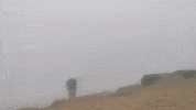 albacampers  GIF