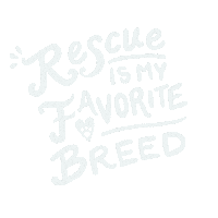 Adopt Dont Shop Sticker by Copper's Dream Rescue