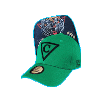 Baseball Hat Sticker by CapicheCaps