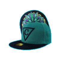 Baseball Cap Sticker by CapicheCaps