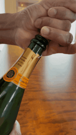 New Year Party GIF by Robert E Blackmon