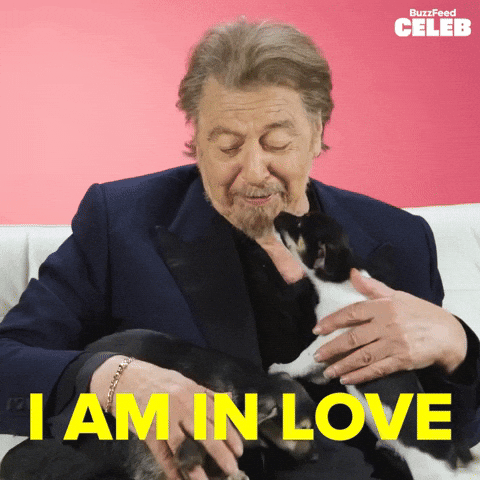 Al Pacino Puppy GIF by BuzzFeed