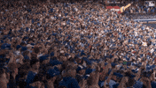 Blue Jays Baseball GIF by Toronto Blue Jays