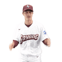 Goyang Sticker by Kiwoom Heroes Baseball Club