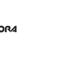 Spidora black frame spidora Sticker
