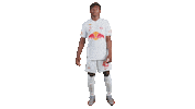 Football Sport Sticker by FC Red Bull Salzburg