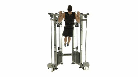 weights GIF