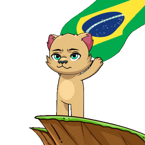 Rio De Janeiro Flag Sticker by Kabu
