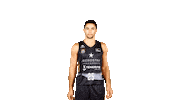 Vamos Liga Endesa Sticker by ACB