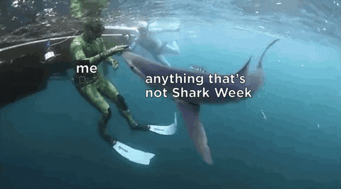 go away no GIF by Shark Week