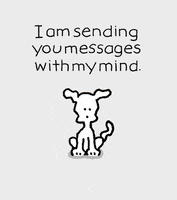 I Love You Dogs GIF by Chippy the Dog