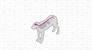 UnboundAgency c2p chou2 chou2pharma chou2 pharma GIF