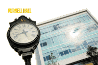 LernerCollegeofBusiness delaware ud lerner purnell Sticker