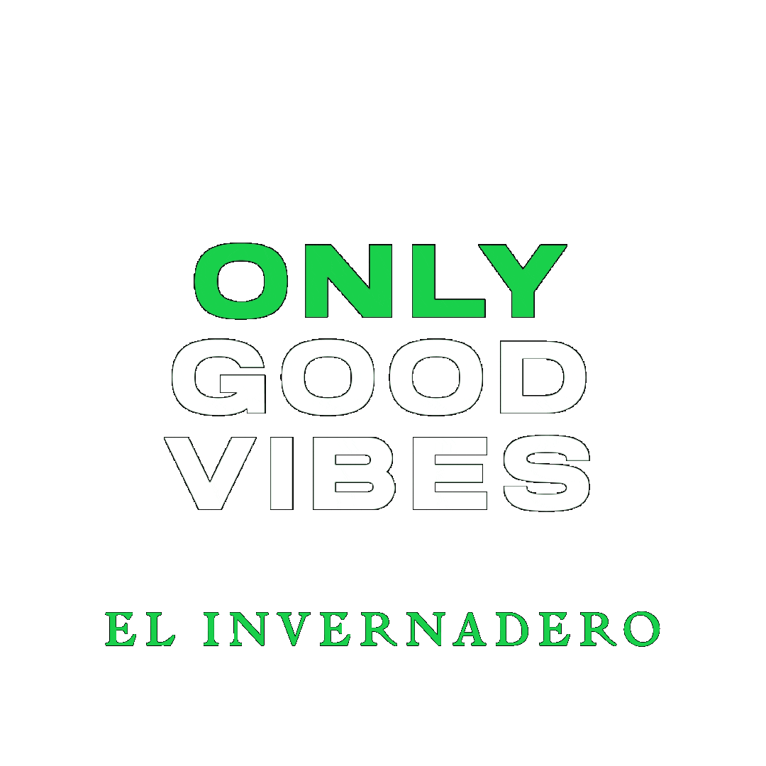 Good Vibes Summer Sticker by Orenes Hoteles & Restauración