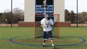 vwu_marlins marlins vwu wethebeach virginiawesleyan GIF