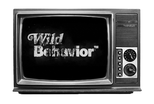 WildBehavior giphyupload Sticker