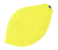 jananareally fruit lemon fruits lemonade Sticker