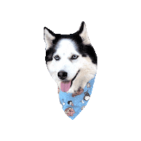 Dogs Bandanas Sticker by Geekster Pets