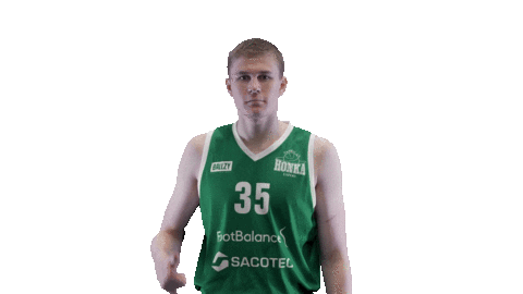 Sport Basketball Sticker by Basket_fi