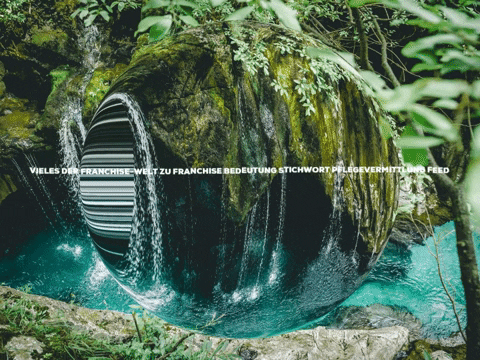 FranchiseONE giphygifmaker enjoy damn franchise GIF