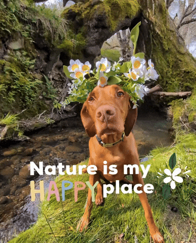 Nature Is My Place GIF