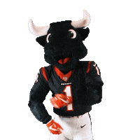 Texans Mascot Sticker by Houston Texans