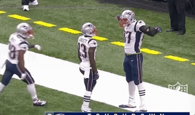 new england patriots football GIF by NFL